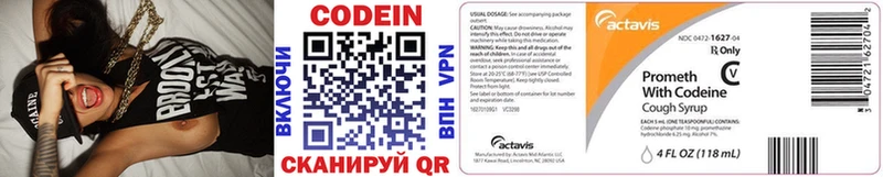 Codein Purple Drank  ОМГ ОМГ маркетплейс  Отрадная 