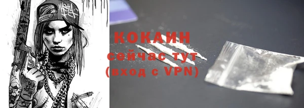apvp Вяземский