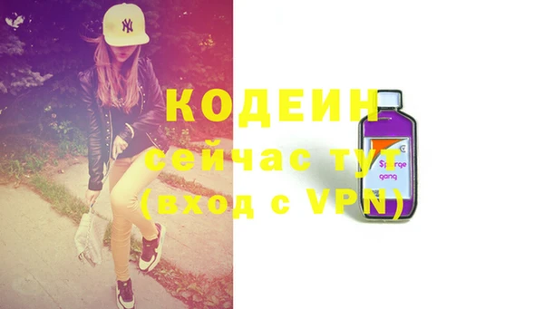 apvp Вяземский