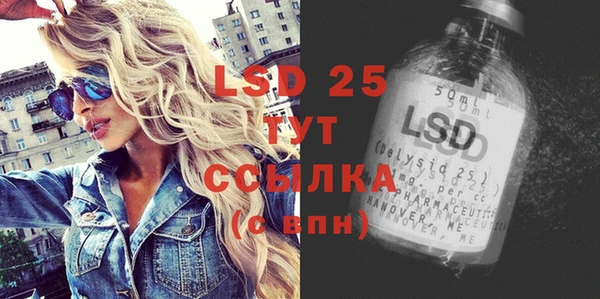 apvp Вяземский
