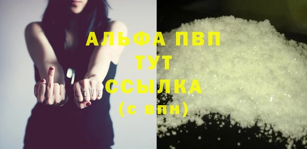 apvp Вяземский