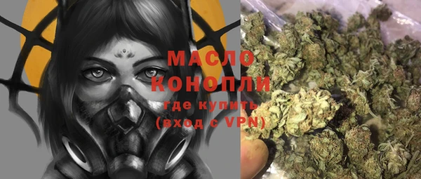 apvp Вяземский