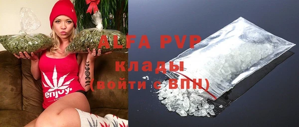 apvp Вяземский
