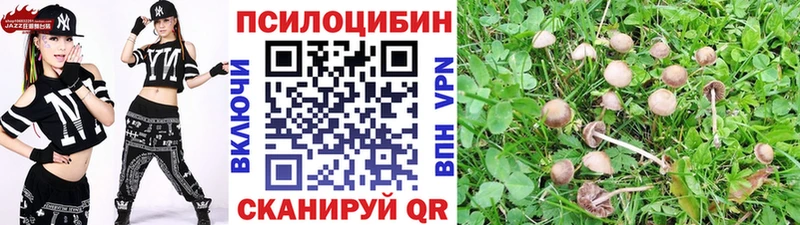 Галлюциногенные грибы Psilocybe  хочу наркоту  Отрадная 